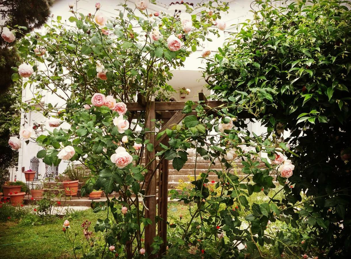 Home Katerina Kymina エクステリア 写真